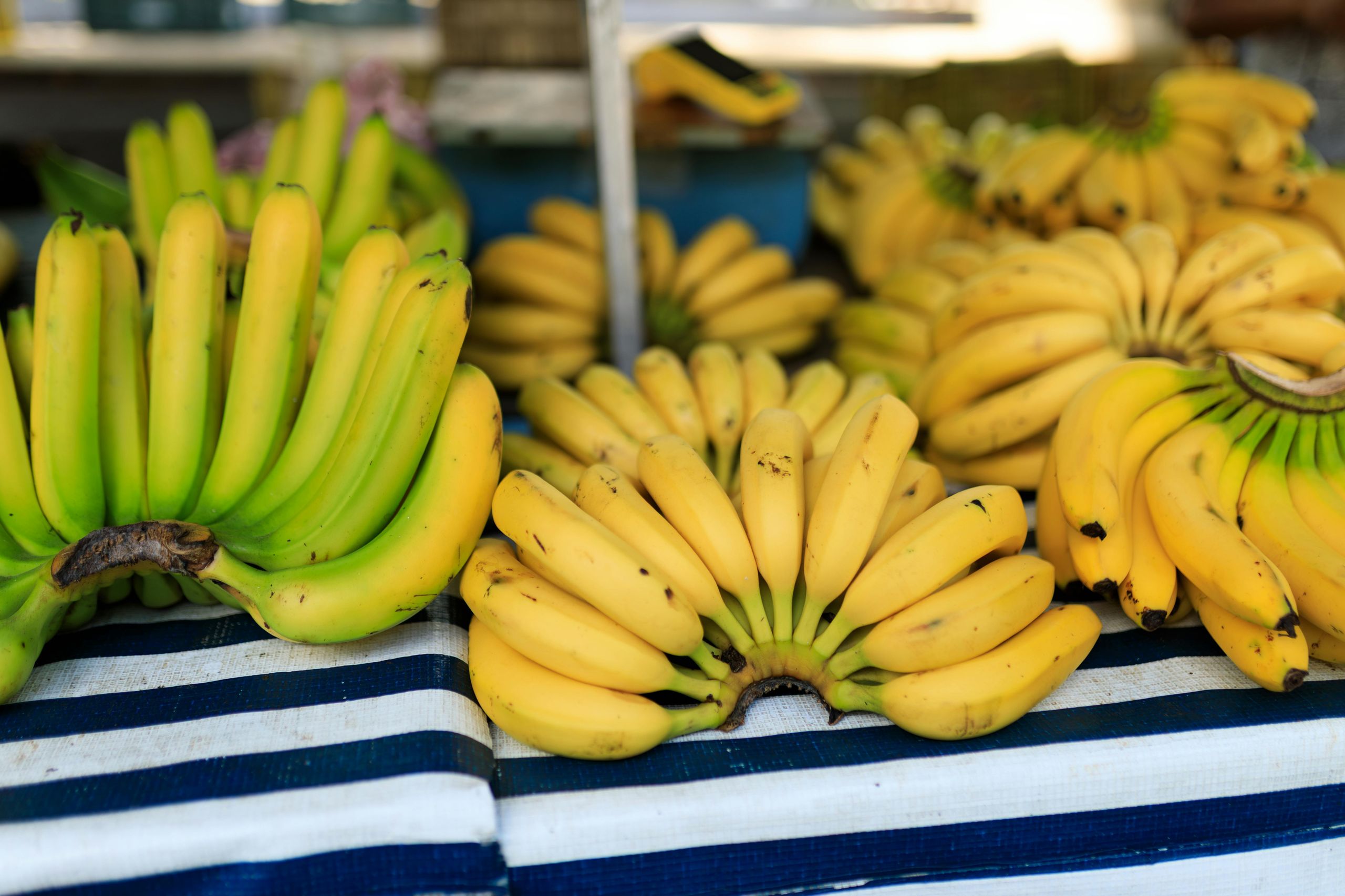 موز طازج - Fresh Bananas